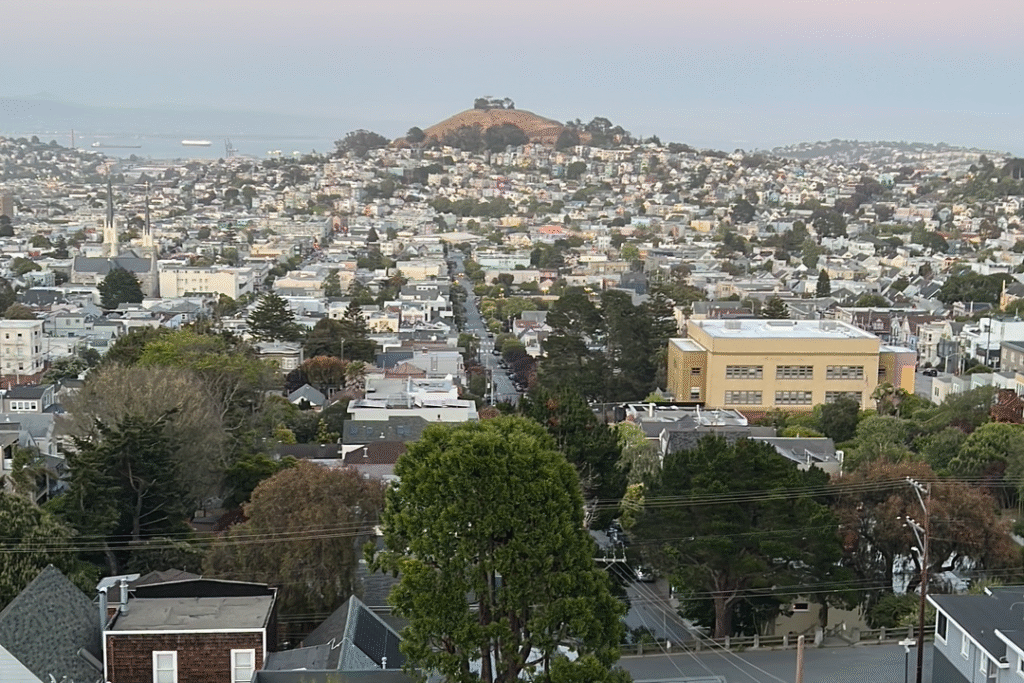 Welcome to the Bernal Connect Directory