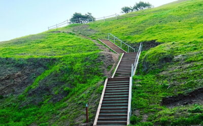 A Guide to Green Spaces in Bernal Heights