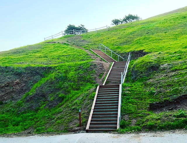 A Guide to Green Spaces in Bernal Heights