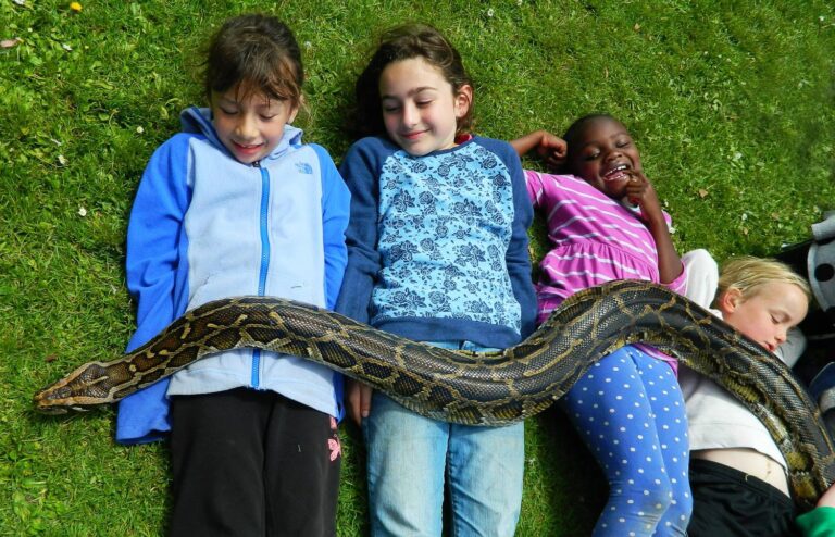 CampKidsJanAnnounce 768x494