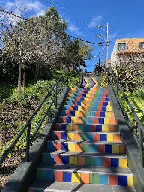 STAIRWAYS & STAIRWAY GARDENS
