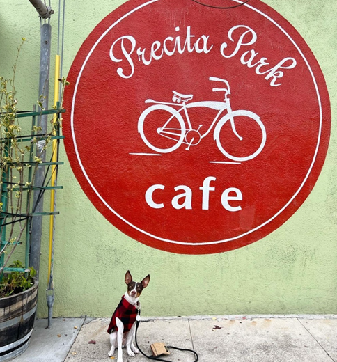 Precita Park Cafe