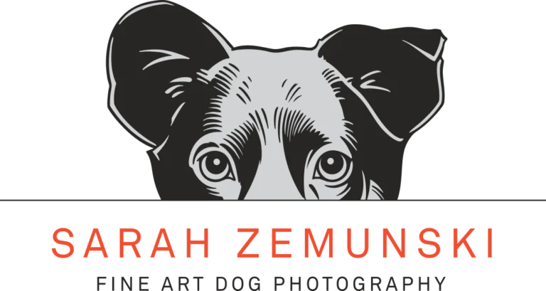 SZPPrimaryLogoColor 768x409