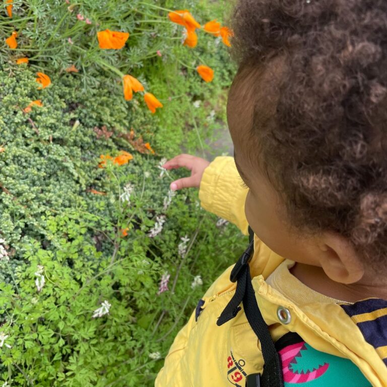 Leaping Learners Preschool outdoor play 768x768