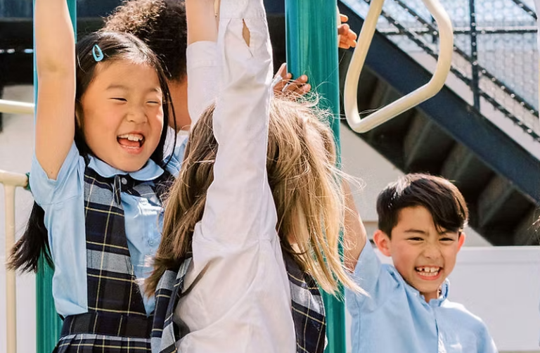 don playground 768x502