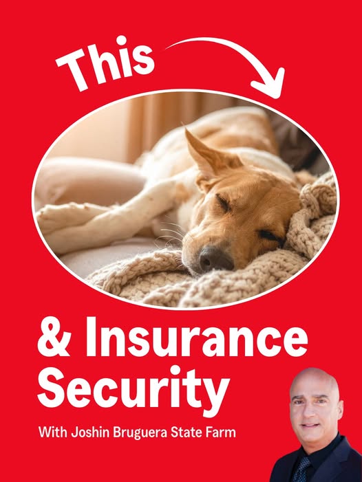 Joshin Bruguera State Farm Agency Bernal Heights Insurance