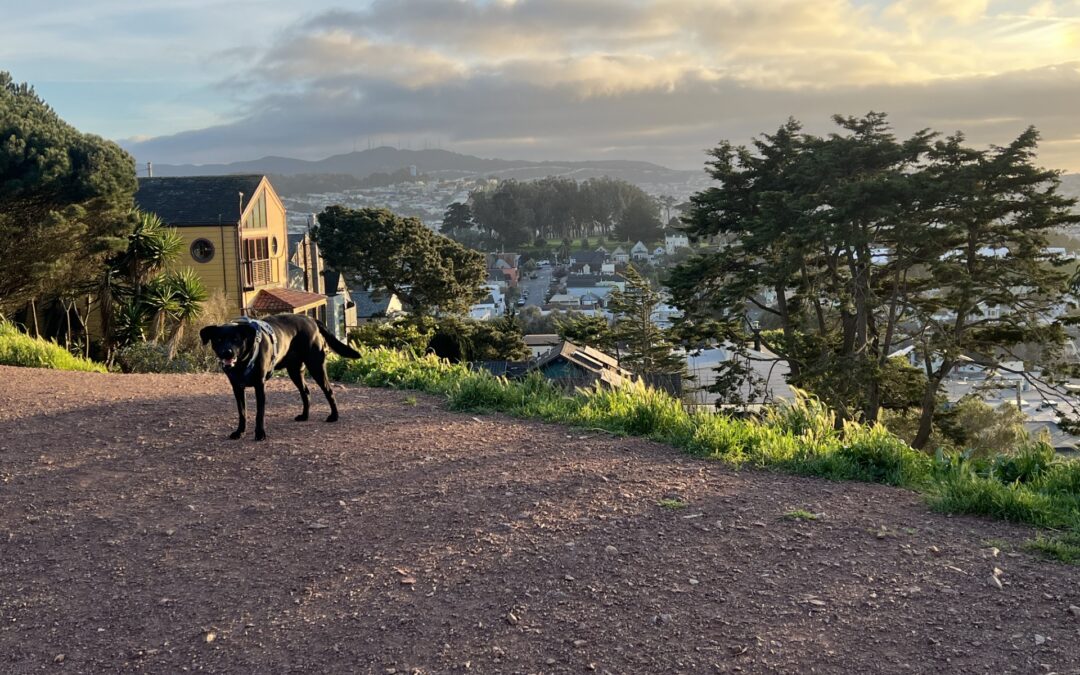 The Complete Guide to Bernal Heights, San Francisco: Neighborhood Overview