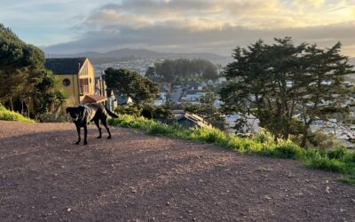 The Complete Guide to Bernal Heights, San Francisco: Neighborhood Overview