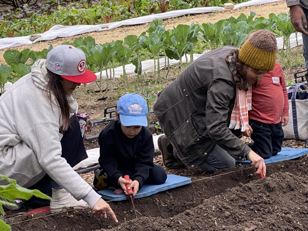 Alemany Farm