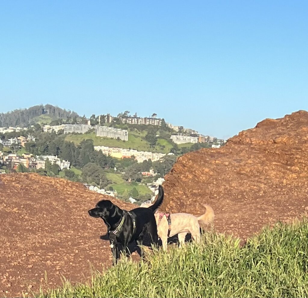 Bernal Hill, Bernal Heights