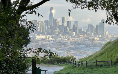 Exploring Bernal Heights Parks: The Ultimate Neighborhood Green Space Guide