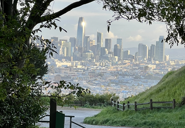 Exploring Bernal Heights Parks: The Ultimate Neighborhood Green Space Guide